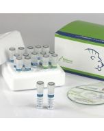 EliGene® STD NEI/TRI RT