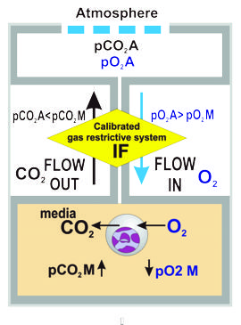 Petaka mechanism