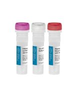 FIREScript® FLEX H(+) KIT